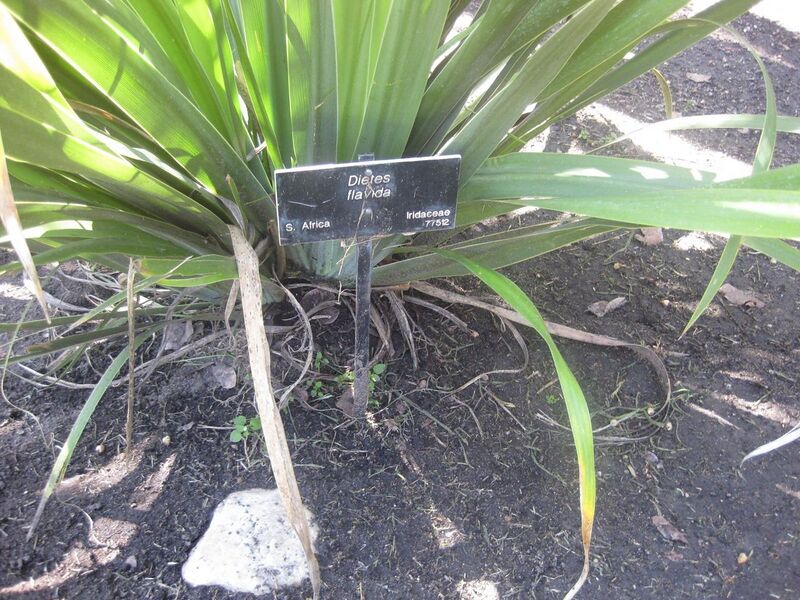 File:1280px-IMG 2065 hunt0903.jpg