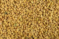 Fenugreek seeds close-up