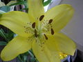 Thumbnail for version as of 11:19, 23 May 2007