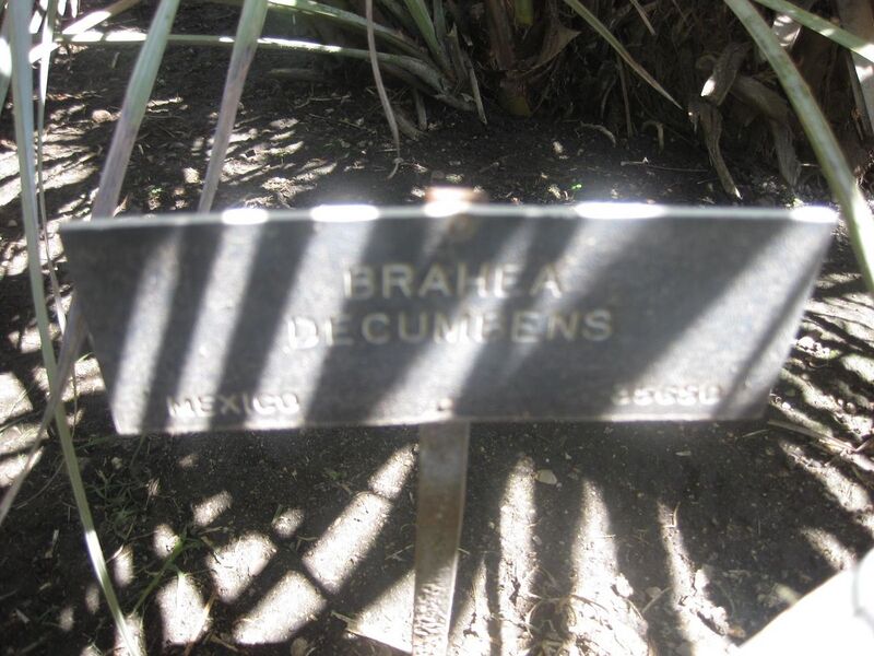 File:1280px-IMG 2077 hunt0903.jpg