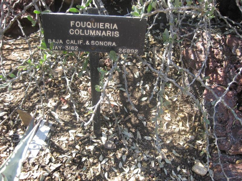 File:1280px-IMG 2437 hunt0903.jpg