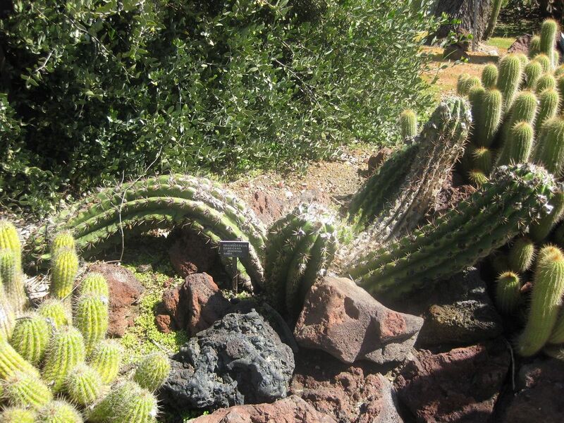 File:1280px-IMG 2451 hunt0903.jpg