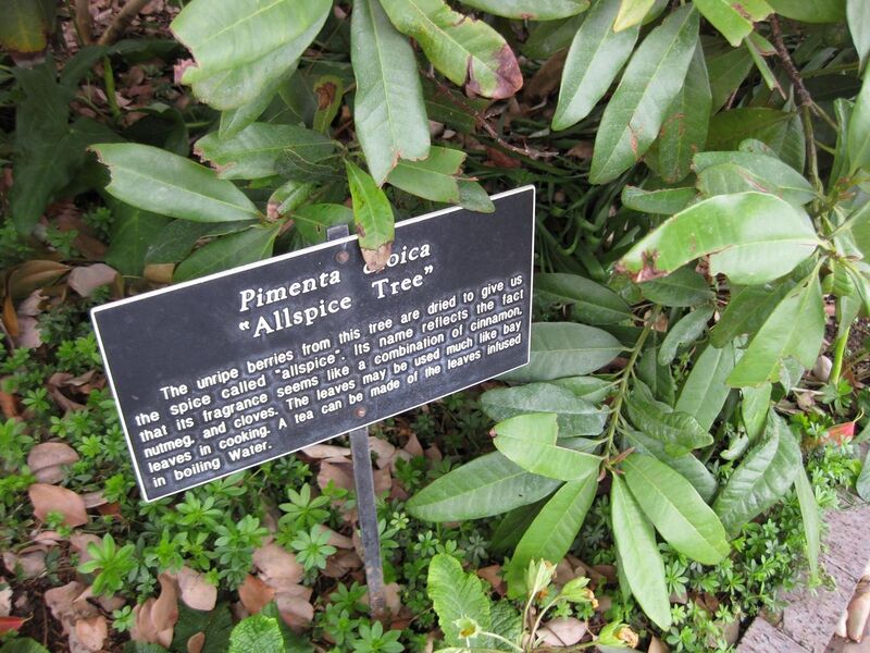 File:1280px-IMG 5356 hunt0904.jpg