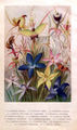Thumbnail for version as of 04:44, 27 June 2007