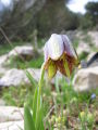 Thumbnail for version as of 10:09, 29 April 2025