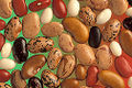 Diversity in dry common beans