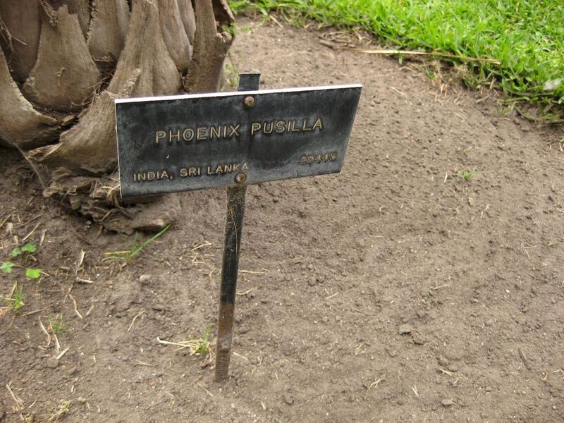 File:1024px-IMG 4025 hunt0904.jpg