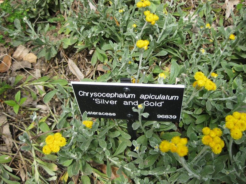 File:1280px-IMG 4527 hunt0904.jpg