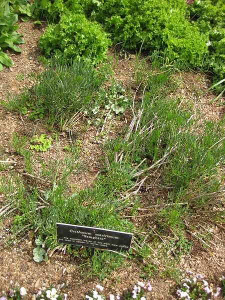 File:576px-IMG 5309 hunt0904.jpg