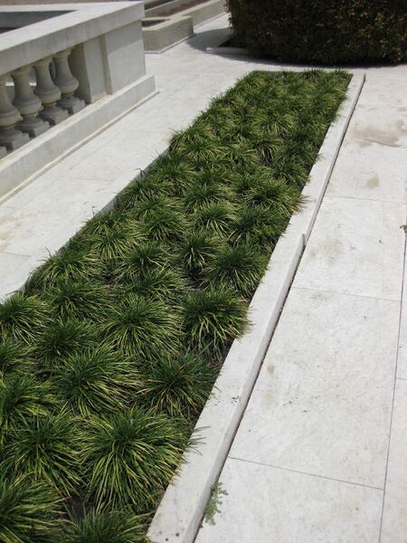 File:576px-IMG 7523 hunt09jun.jpg