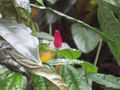 Thumbnail for version as of 20:03, 27 November 2009