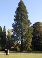 Thumbnail for version as of 06:48, 22 November 2007