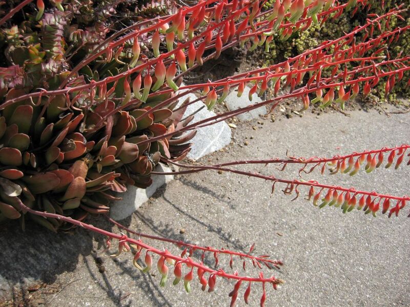 File:1280px-IMG 4302 hunt0904.jpg