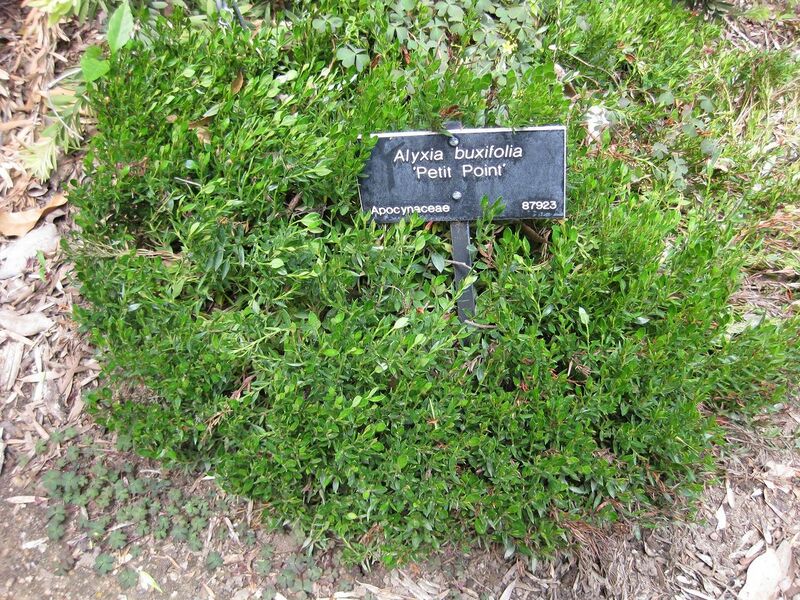 File:1280px-IMG 4532 hunt0904.jpg