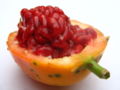 fruit
