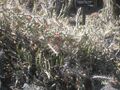 Thumbnail for version as of 09:21, 29 April 2025