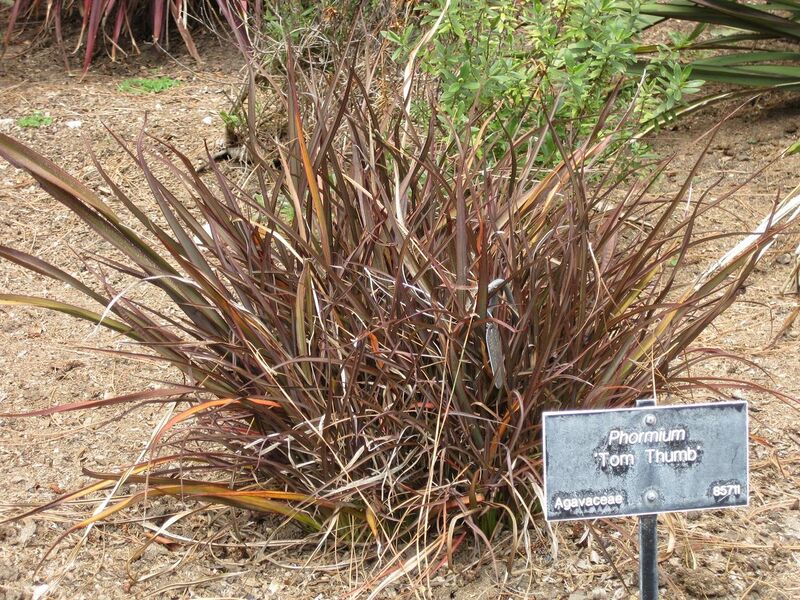 File:1280px-IMG 4503 hunt0904.jpg