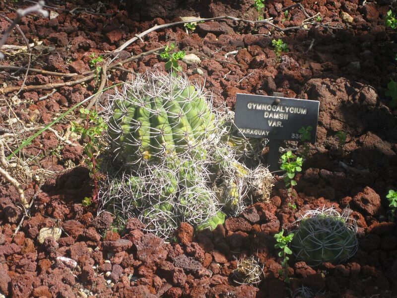 File:1280px-IMG 2472 hunt0903.jpg