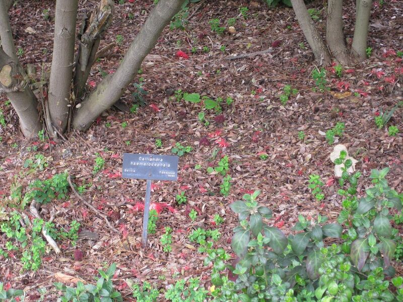 File:1280px-IMG 5043 hunt0904.jpg