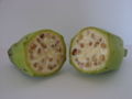 Fruits of wild-type bananas have numerous large, hard seeds.
