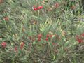 Thumbnail for version as of 08:58, 29 April 2025
