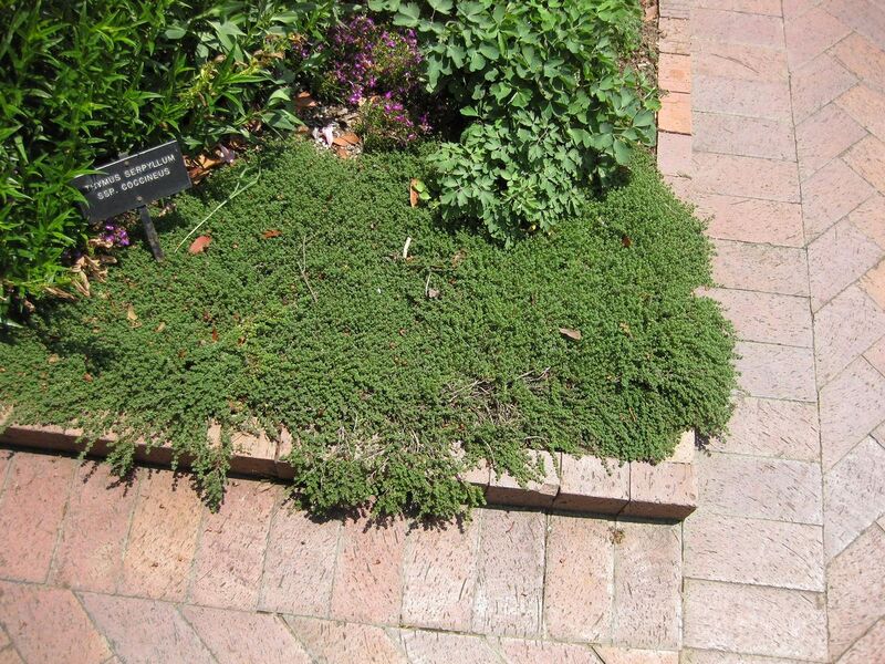 File:1280px-IMG 7693 hunt09jun.jpg