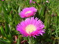 Thumbnail for version as of 06:02, 2 July 2007