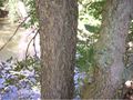 Thumbnail for version as of 14:30, 7 October 2007