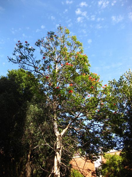 File:IMG 2351 ucla09.jpg