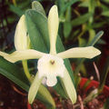 Thumbnail for version as of 13:10, 2 May 2007