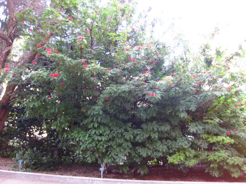 File:T1ye9dqw6f49ujodf8y5mi0gh4tggur.jpg