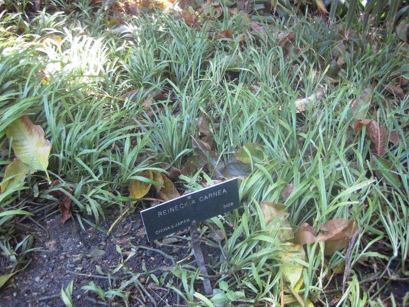 File:1024px-IMG 2008 hunt0903.jpg