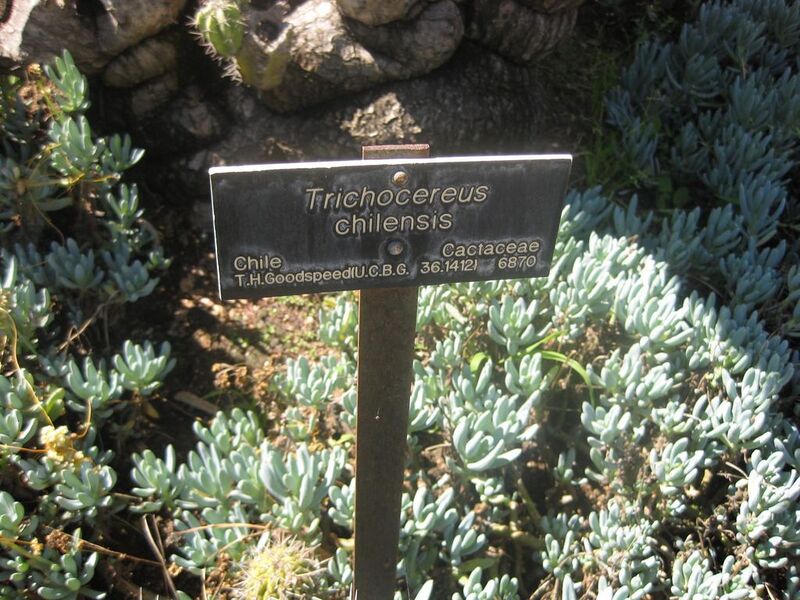 File:1024px-IMG 2371 hunt0903.jpg