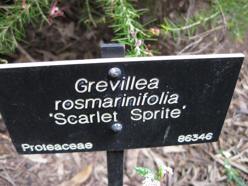 File:1280px-IMG 4622 hunt0904.jpg