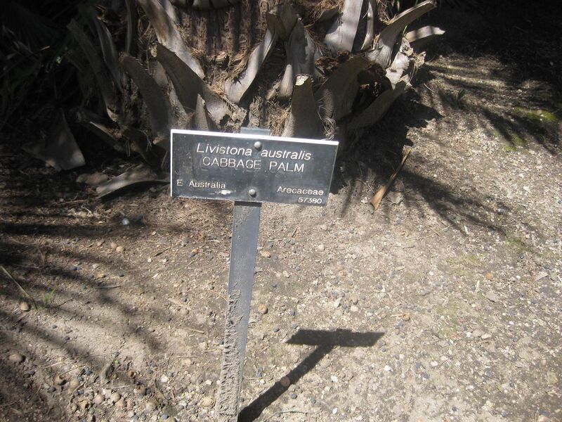 File:1280px-IMG 2080 hunt0903.jpg