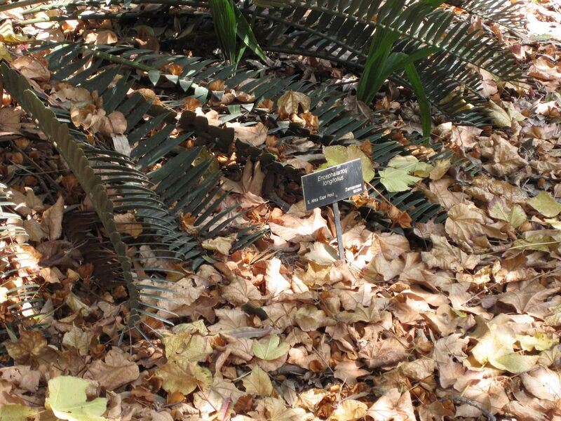 File:1280px-IMG 4171 hunt0904.jpg