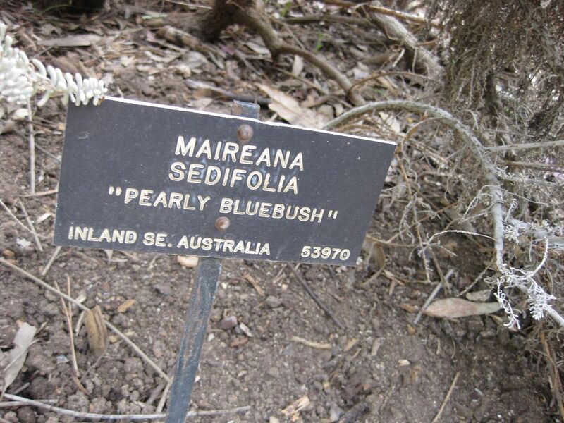 File:1280px-IMG 5106 hunt0904.jpg