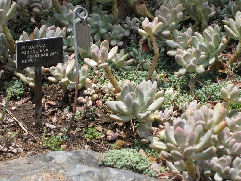 File:1280px-IMG 7484 hunt09jun.jpg