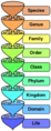 Thumbnail for version as of 10:30, 29 April 2025