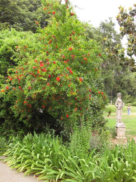 File:576px-IMG 6834 hunt09jun.jpg