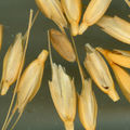 Thumbnail for version as of 10:10, 18 July 2007