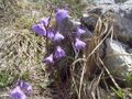 Thumbnail for version as of 09:24, 29 April 2025