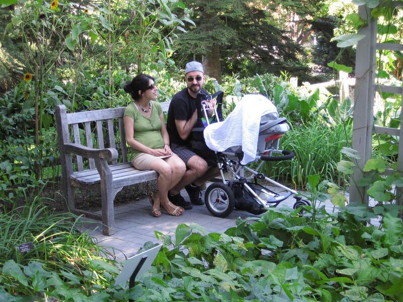 File:1280px-IMG 0368 nybg09.jpg
