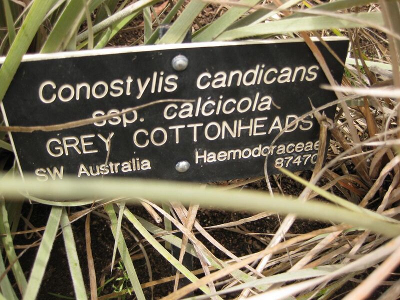 File:1280px-IMG 7186 hunt09jun.jpg