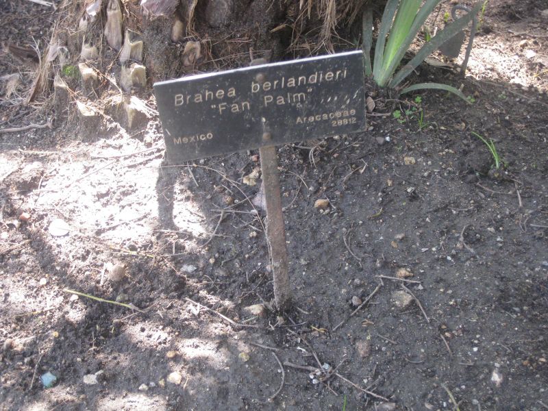 File:IMG 2062 hunt0903.jpg