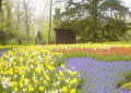 Thumbnail for version as of 13:49, 15 May 2007
