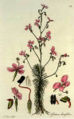 Thumbnail for version as of 16:04, 1 March 2009