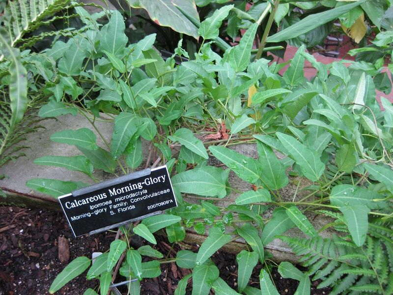 File:1280px-IMG 0922 bbg09.jpg