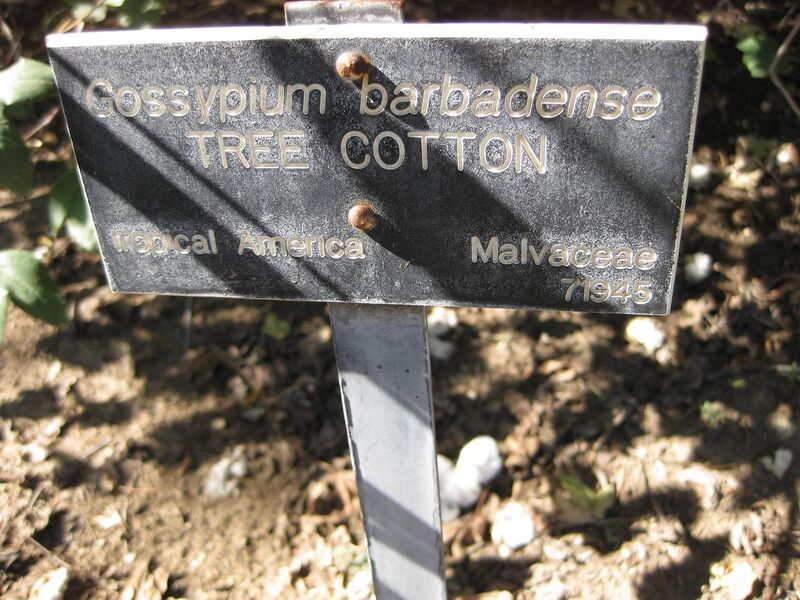 File:1280px-IMG 2028 hunt09oct.jpg