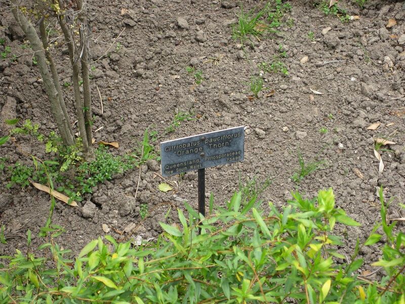 File:1280px-IMG 4654 hunt0904.jpg